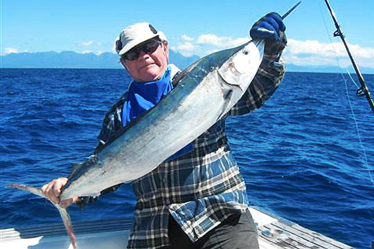 Black marlin caught off Cardwell, North Queensland