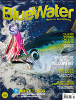 bwcover