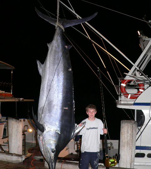 565 for Robbie Angus, small fry world record oct 2005 weighed in Cooktown