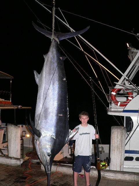 565 for Robbie Angus, small fry world record oct 2005 weighed in Cooktown