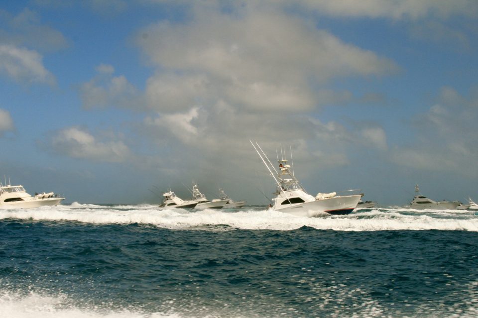 22nd Lizard Island Black Marlin Classic Tournament Report (2008)