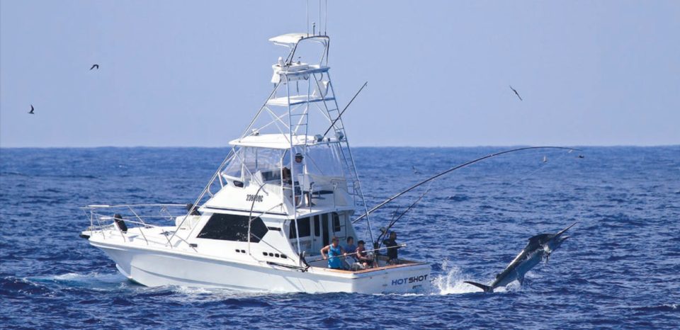 2010 Cairns Marlin Season Recap