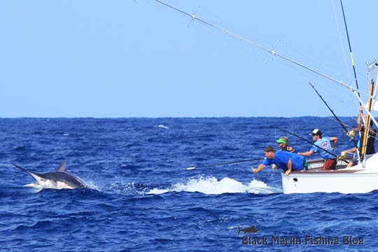 950 black marlin on Askari