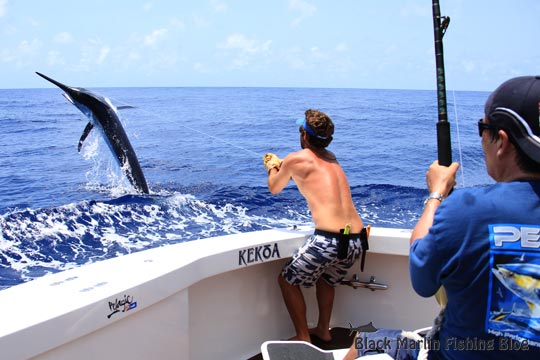 kekoa black marlin