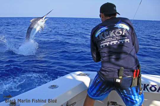 700lb black marlin on Kekoa