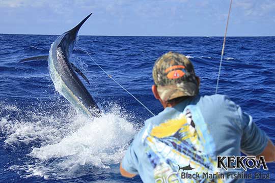 Richard's black marlin