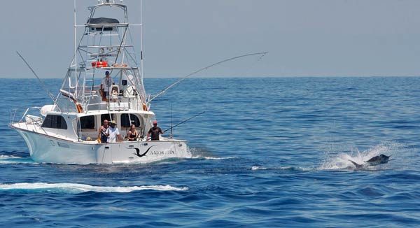 jacinta catching marlin