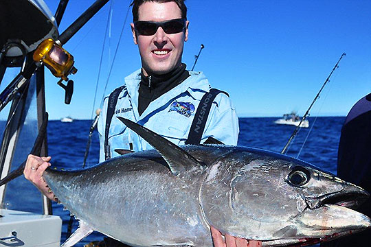 Band of Brothers Bermagui bluefin