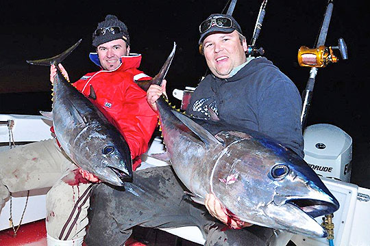 Band of Brothers Bermagui bluefin