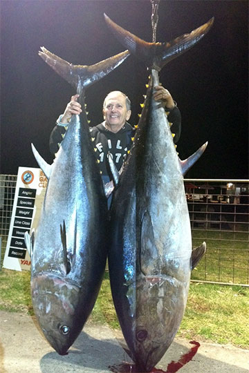 bluefin tuna at bermagui on Irish Eyes