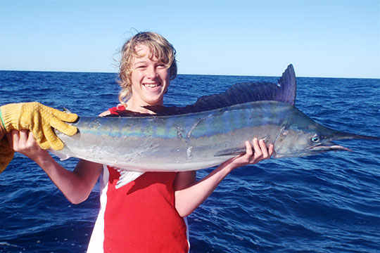 black marlin