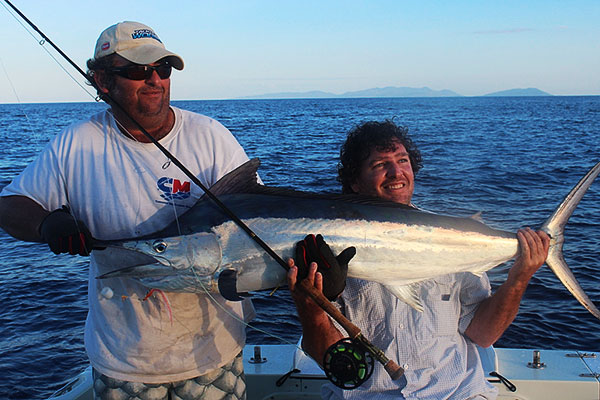 Black marlin on fly