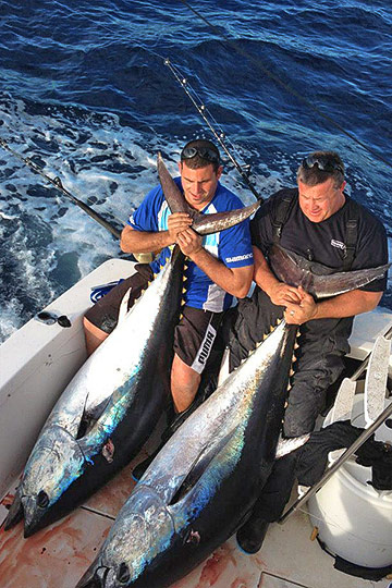 southern bluefin tuna on tonlu 2