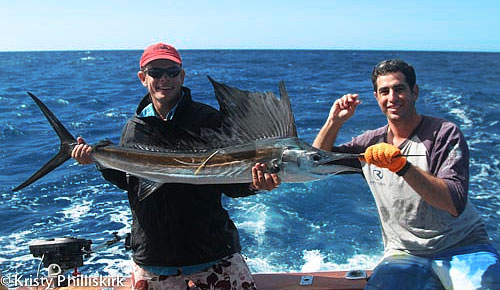 sailfish at Lucinda on Mojo