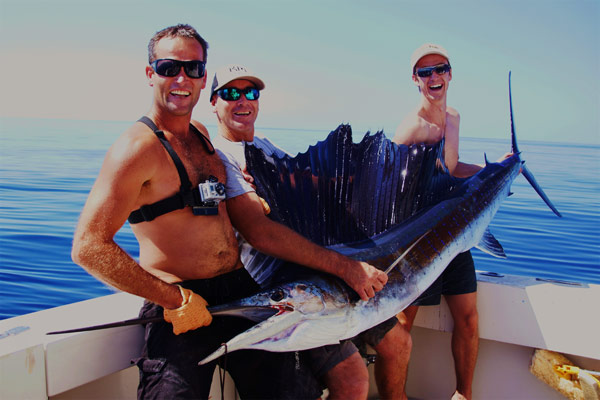 Sailfish at the whitsundays