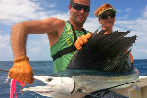 sailfish in Whitsundays