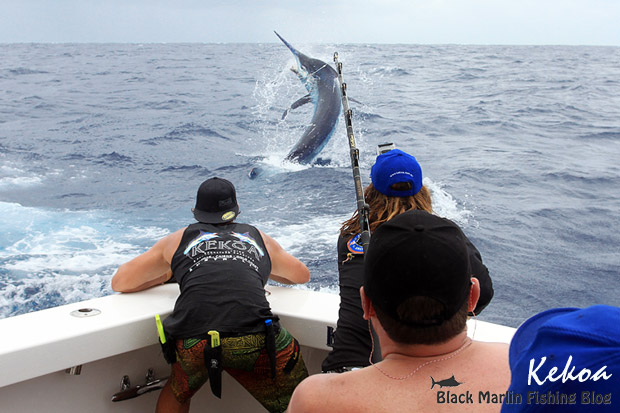 grander black marlin