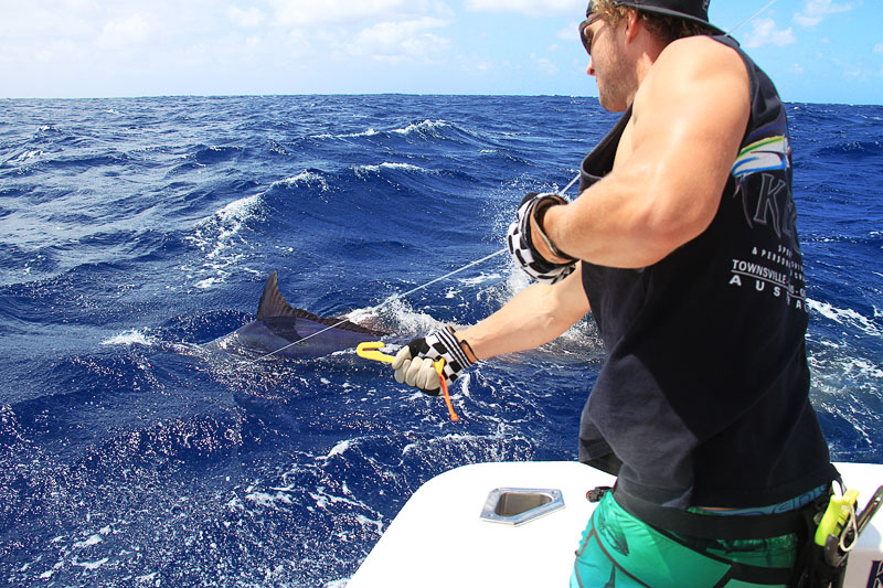 black marlin on kekoa