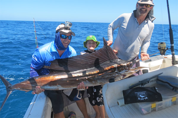 sailfish for Dylan