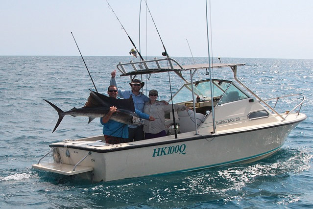 Weipa billfish tournament