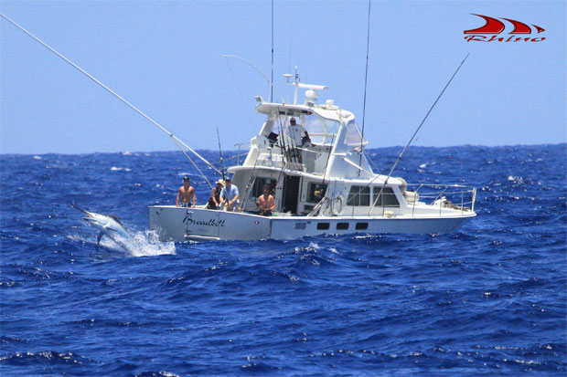 Broadbill fighting a black marlin