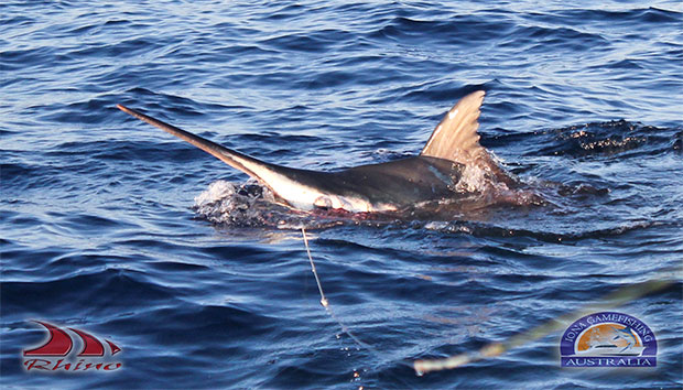 first marlin for Jen