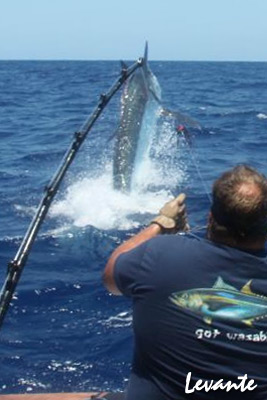 Levante 800lb black marlin