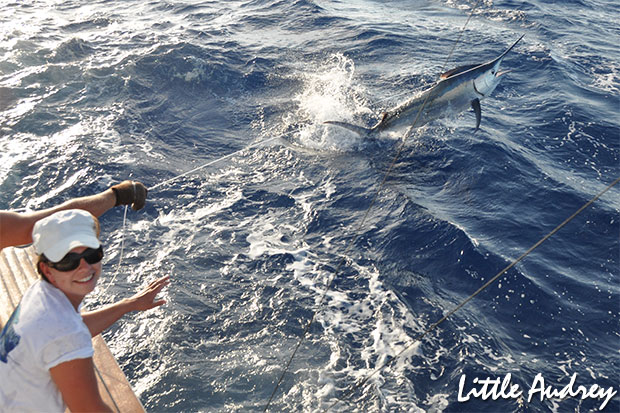 Sarah's first marlin on Little Audrey