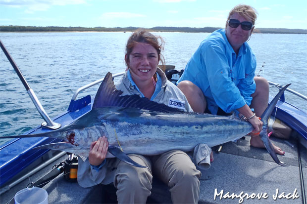 Mangrove Jack marlin