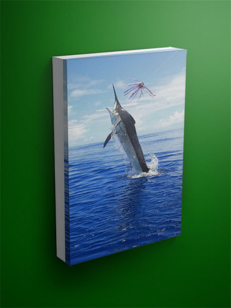 black marlin canvas