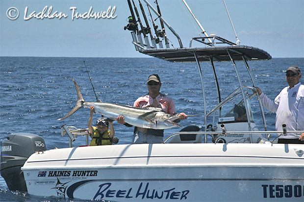 black marlin on reel hunter