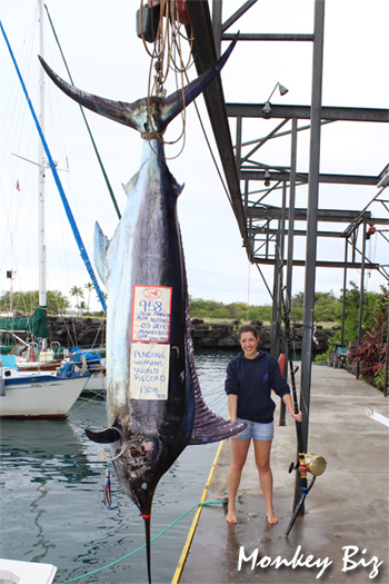 Alex's potential world record blue marlin