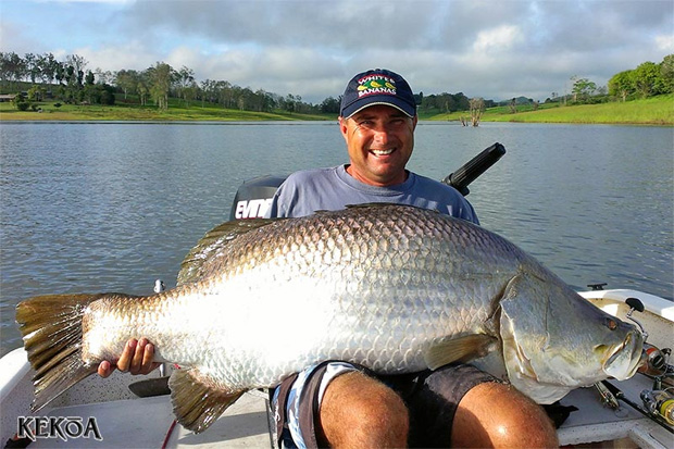 luke 135 barramundi