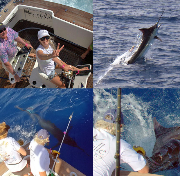 castille blue marlin