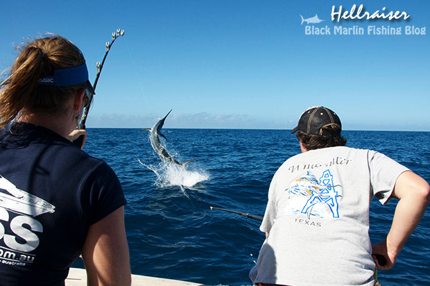 hellraiser black marlin