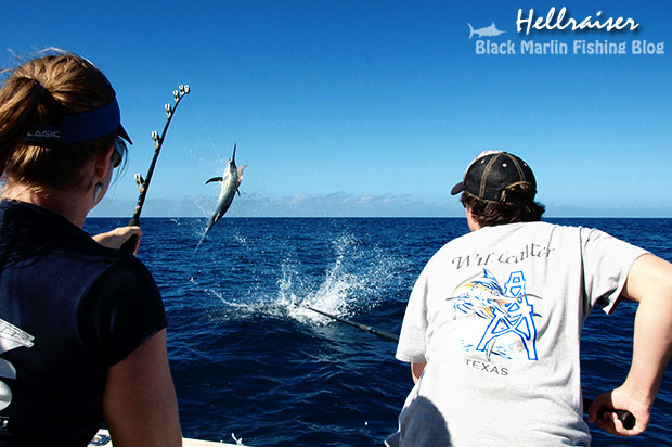 hellraiser black marlin