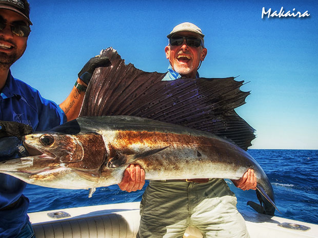makaira sailfish