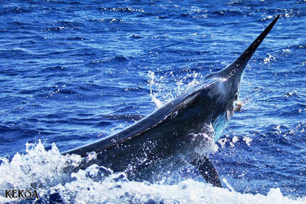 kekoa