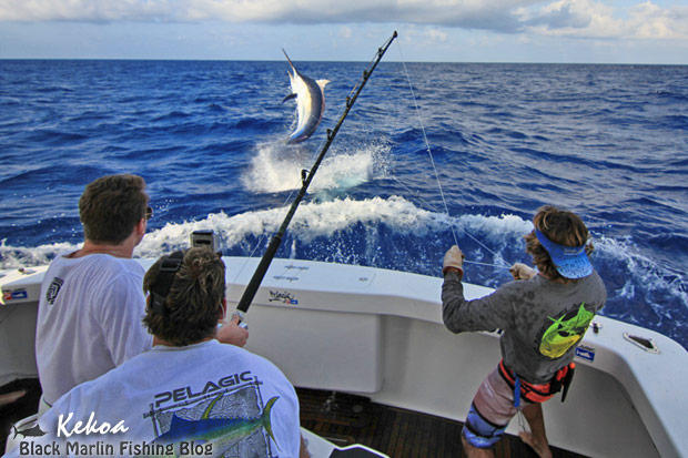 kekoa black marlin