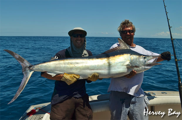 herveyBay