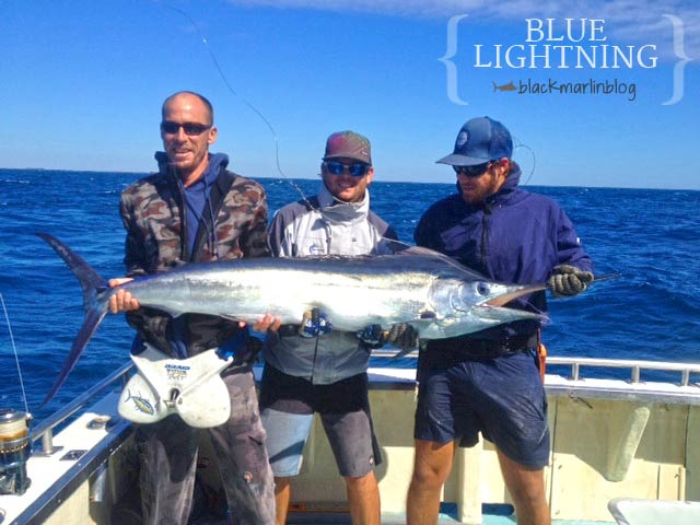 blue-lightning-marlin