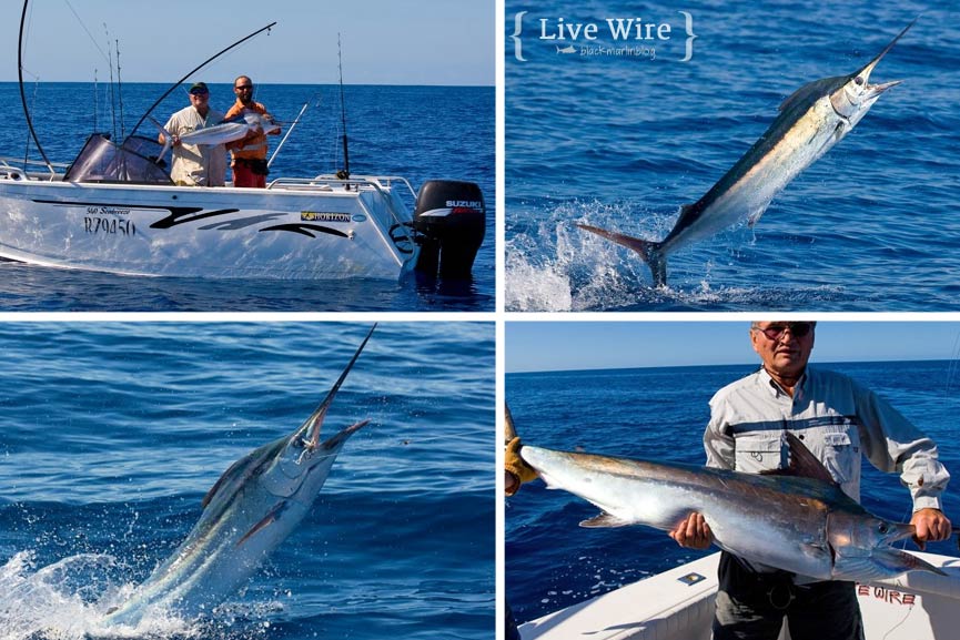 cracking-weather-marlin-fishing