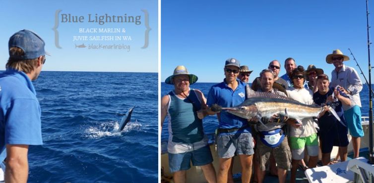 Blue Lightning Marlin