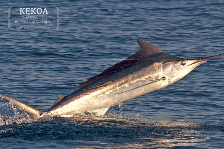 Townsville Billfish Challenge