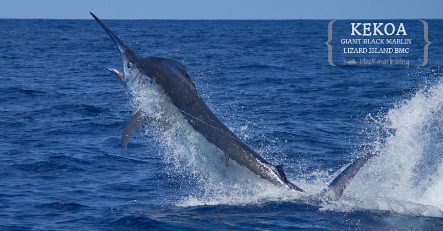 2014-lizard-island-black-marlin-classic-day-2