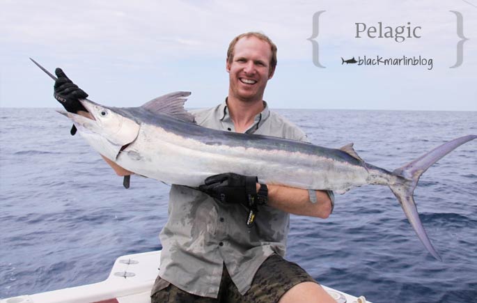 pelagic