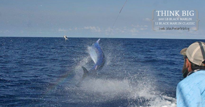 2014-lizard-island-black-marlin-classic-day-6-fishing