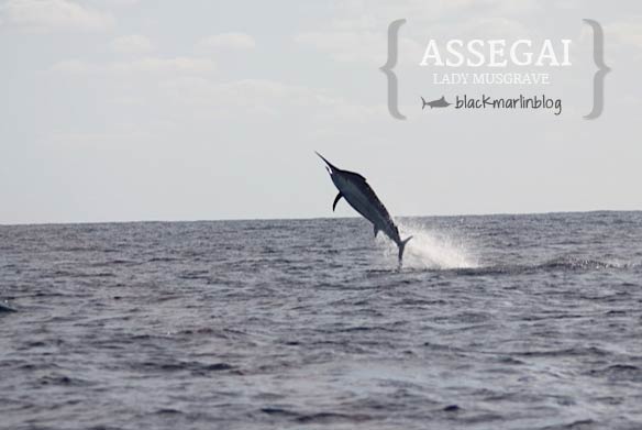 assegai