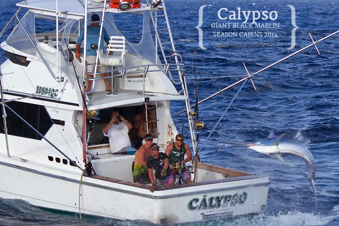 calypsohighflyer