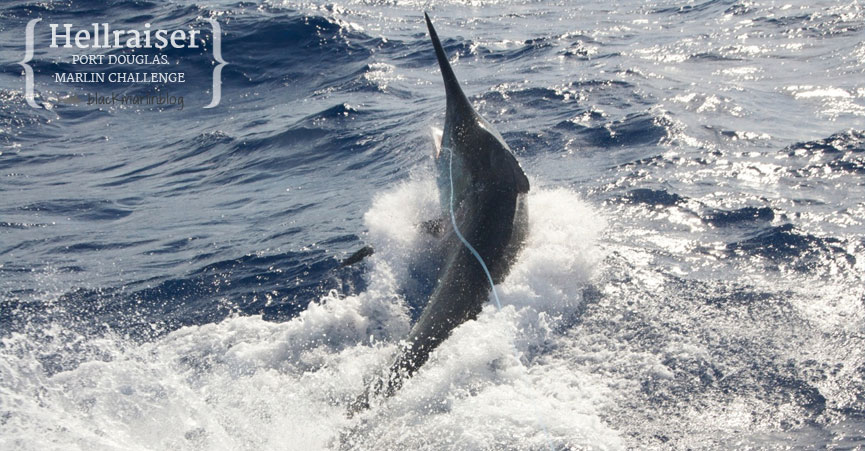 big-fish-bite-resuming